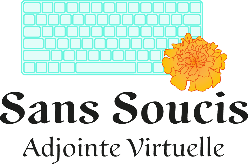 logo transparent copie